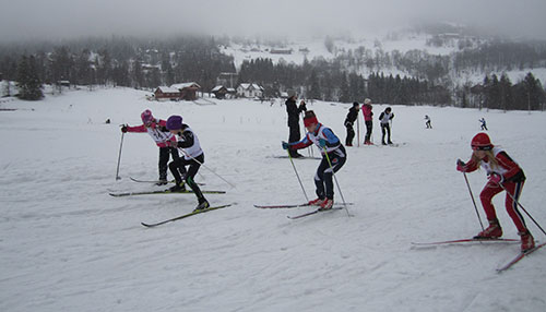 2014-03-01 Skicross